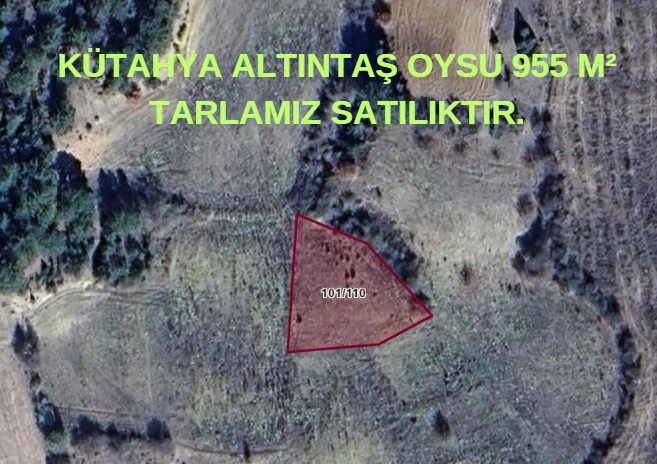KÜTAHYA ALTINTAŞ OYSU 955 M² TARLAMIZ SATILIKTIR.